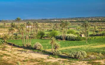 CARAVANSERAI, фото 11 CARAVANSERAI, фото 11