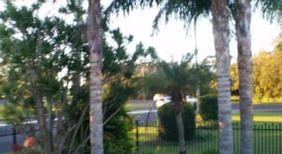 Avlon Gardens Motel - Ballina, фото 36