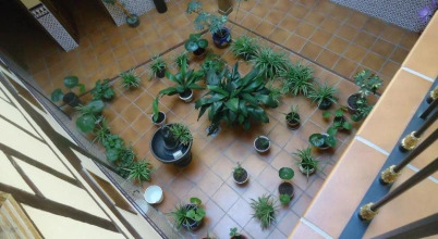 Hostal Infantes, фото 35