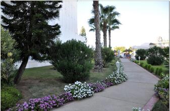 Royal Jinene, фото 27 Royal Jinene, фото 27