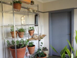 Springmead B&b, фото 8