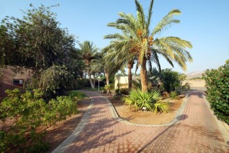 Kibbutz Hotel Eilot Country Lodging, фото 7