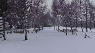 Height Of Dunedin, фото 6 Height Of Dunedin, фото 6