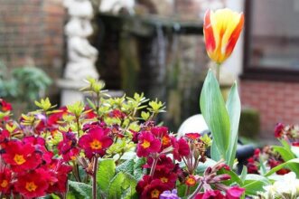 Cumbria Park, фото 39 Cumbria Park, фото 39