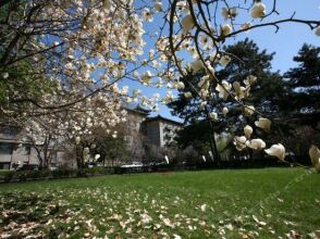 Friendship Grand Beijing, фото 11 Friendship Grand Beijing, фото 11