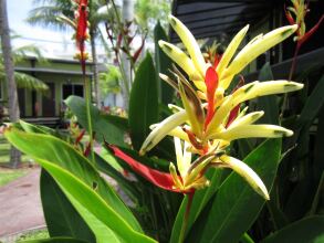 Casa Fina Fine Homes, фото 24 Casa Fina Fine Homes, фото 24