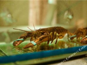 BJ Garden, фото 2