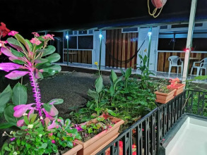 Cabinasyafethosa caletas, фото 3