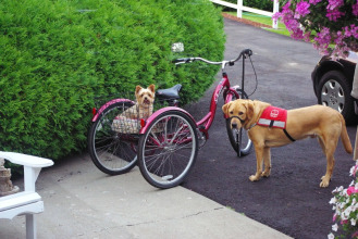 Wyndhaven Cottage Bed & Breakfast, фото 12