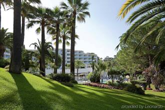 Cannes Montfleury, фото 34