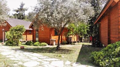 Olympos Village Ecologic Activity Hotel, фото 45