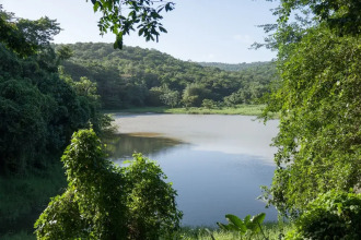 Green Castle Estate, фото 34