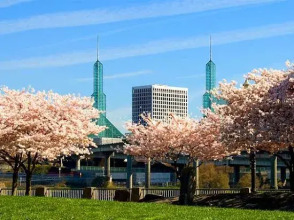 Courtyard Marriott City Center, фото 23 Courtyard Marriott City Center, фото 23