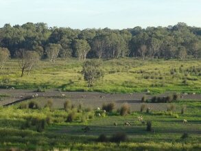 Frog Gully Cottages, фото 14