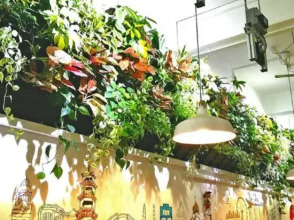 Dream Lodge, фото 22 Dream Lodge, фото 22