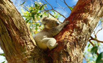 Haven On The Park, фото 40 Haven On The Park, фото 40