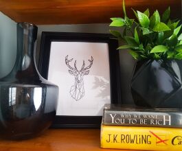 Studio 610, фото 5 Studio 610, фото 5