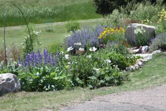 Sleep For Less Motel, фото 11