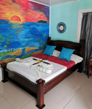 Cabinasyafethosa caletas, фото 13