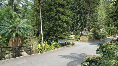 Shahzan Inn, фото 9 Shahzan Inn, фото 9