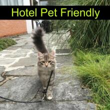 Hotel Raffaelli Villa Angela, фото 17