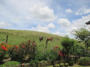Kauri Lodge Karapiro, фото 7
