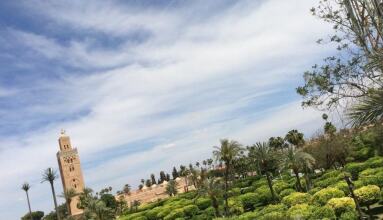 Hotel Chems, фото 36 Hotel Chems, фото 36