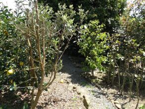 Kauri Lodge Karapiro, фото 17