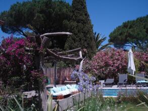 La Vagabonde, фото 19