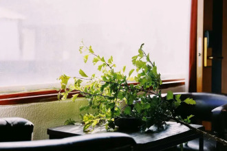 Shangri La Salloi Rustic Luxury Hotel, фото 31