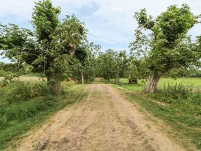 Lakeside Lodge, фото 7