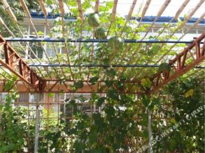 Beijing Xiuli Farmstay