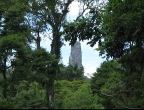 Bromélia Sabiá & Cia, фото 19 Bromélia Sabiá & Cia, фото 19