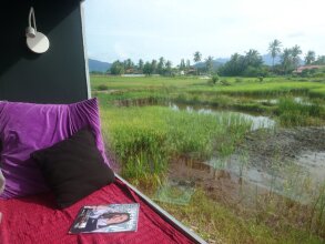 District Eight, фото 10