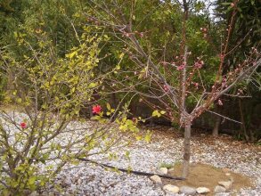 Villa Sophia, фото 37