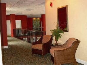 The Coconut Malorie Resort, фото 43 The Coconut Malorie Resort, фото 43