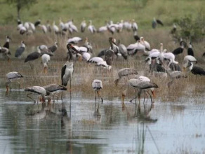Nkasa Lupala Tented Lodge, фото 27
