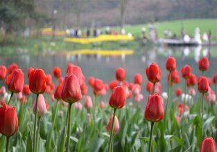 Huagang Hna Resort, фото 31 Huagang Hna Resort, фото 31