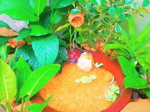 Vila Aconchego, фото 42