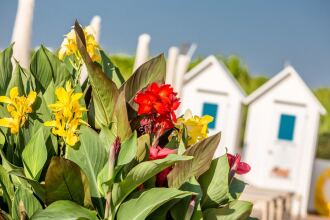 Hotel Aurora, фото 8