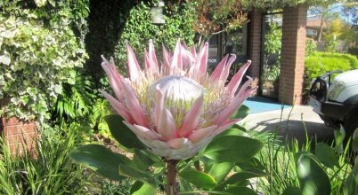 Lakes Waterfront Motel And Cottages, фото 40