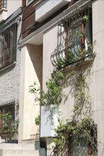 New House, фото 33 New House, фото 33