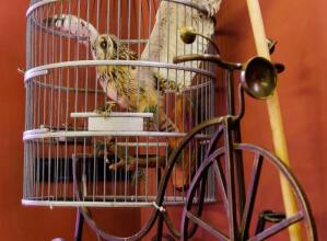 Hogwarts Hostel, фото 6 Hogwarts Hostel, фото 6