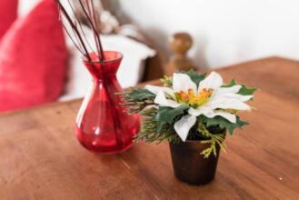 Bliss Bay Nilaveli, фото 17