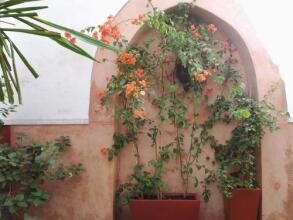 Ryad Dar Ganou, фото 23 Ryad Dar Ganou, фото 23