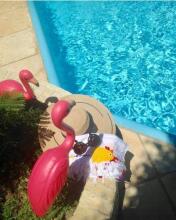 Pousada Recanto Dos Girassóis, фото 6