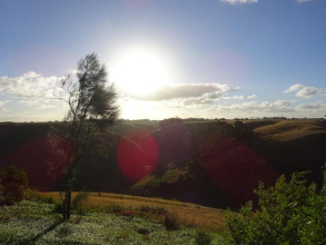 Cobden Crest Cottages, фото 20