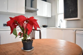 Central 2 Bedroom Brighton Flat Near Seven Dials, фото 5