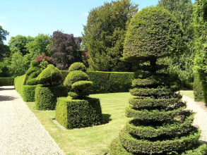 Madingley Hall - Bed & Breakfast, фото 6
