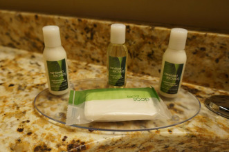 Grandstay Hotel & Suites, фото 29